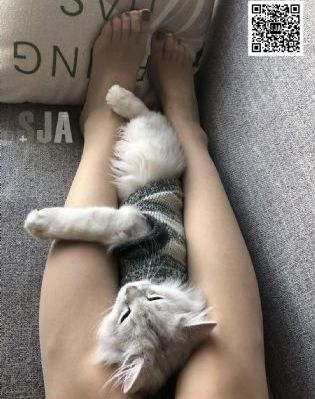 福利社免费体验区_HD在线观看完整版